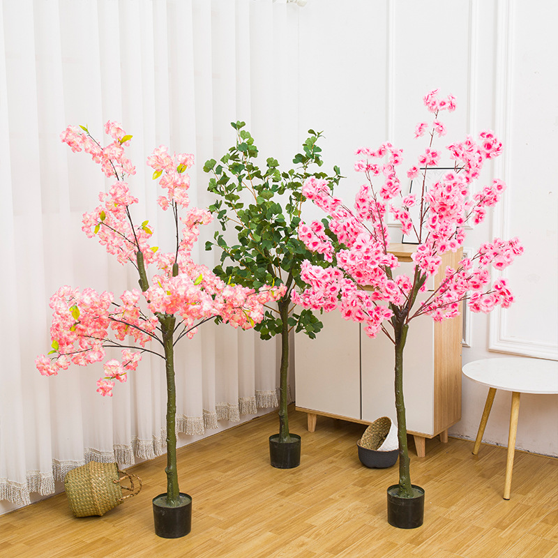 Pianta bonsai con foglie di gi - Bonsai Garden Restaurant recensione e prezzo