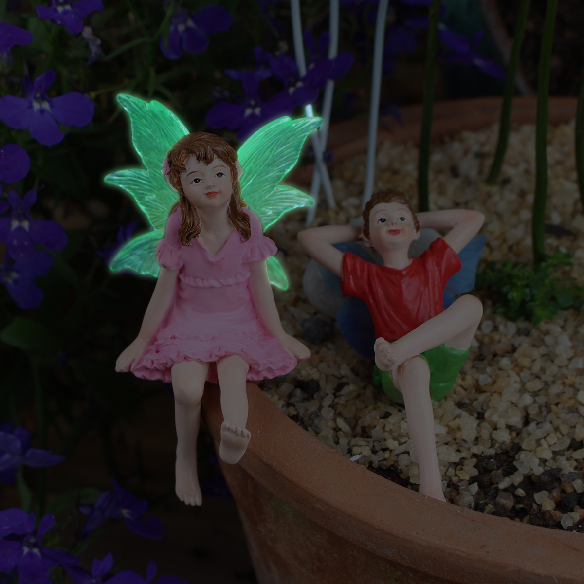 2 coppie che guardano il cielo - Up Bonsai Garden recensione e prezzo