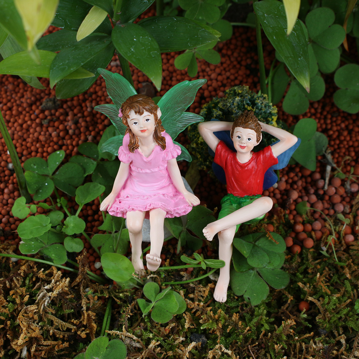 2 coppie che guardano il cielo - Up Bonsai Garden recensione e prezzo