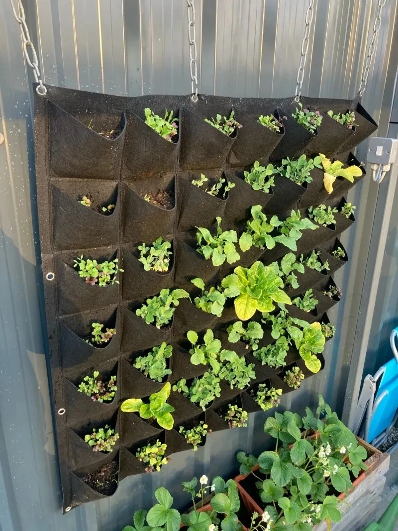 Borsa per piantare appesa a pa - Bonsai Vertical Garden recensione e prezzo