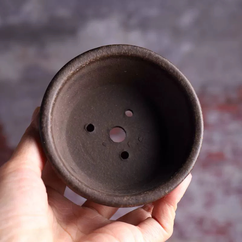 Ciotola circolare in ceramica, - Bonsai Vertical Garden recensione e prezzo
